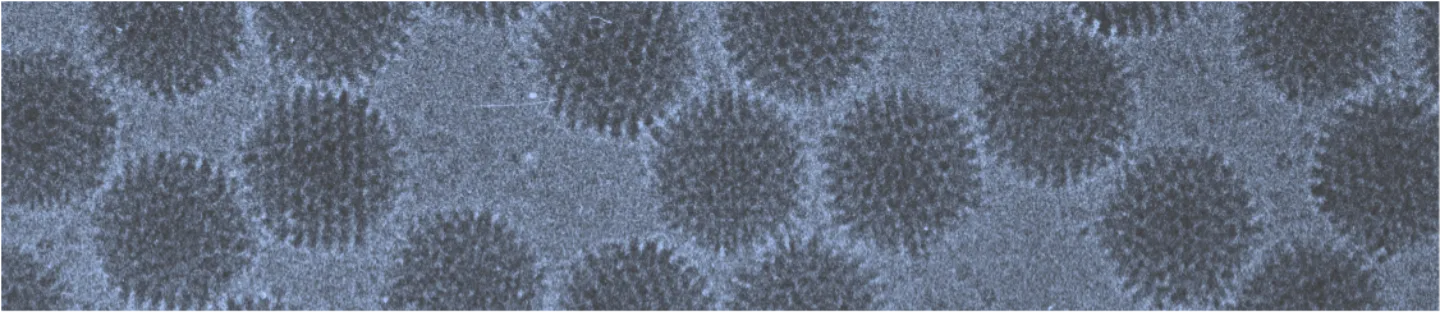 #slidecaption1 About us