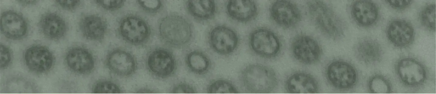 #slidecaption3 Our Technology